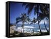 Paraiso, Dominican Republic-null-Framed Stretched Canvas