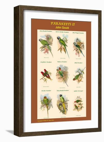 Parakeet Classroom Poster Vertical II-John Gould-Framed Art Print