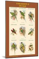 Parakeet Classroom Poster Vertical II-John Gould-Mounted Art Print