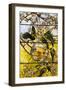 Parakeets and Gold Fish Bowl, 1893-Louis Comfort Tiffany-Framed Giclee Print