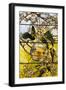Parakeets and Gold Fish Bowl, 1893-Louis Comfort Tiffany-Framed Giclee Print