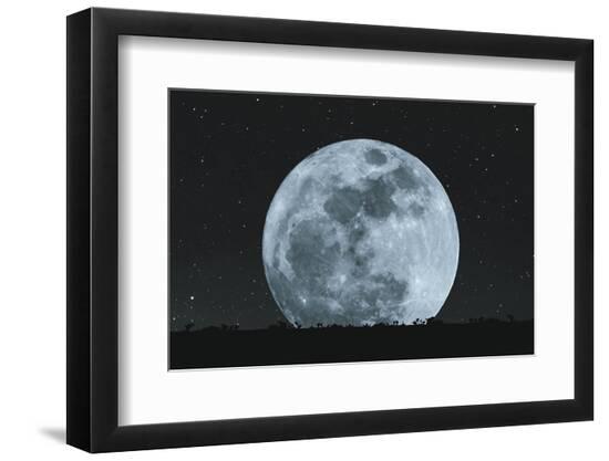 Photographic Print, , large