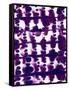 Parallel Purple Mauve-Jacqueline Maldonado-Framed Stretched Canvas