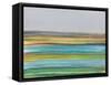 Parallel Striae I-Jodi Fuchs-Framed Stretched Canvas