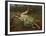 Parana Landscape, Paisaje de Parana, 19th Century-Juan Manuel Blanes-Framed Giclee Print