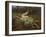 Parana Landscape, Paisaje de Parana, 19th Century-Juan Manuel Blanes-Framed Giclee Print