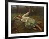 Parana Landscape, Paisaje de Parana, 19th Century-Juan Manuel Blanes-Framed Giclee Print