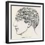 Paranormal Phrenology-null-Framed Photographic Print