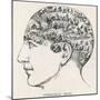 Paranormal Phrenology-null-Mounted Photographic Print