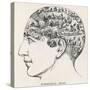 Paranormal Phrenology-null-Stretched Canvas