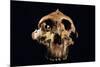 Paranthropus Boisei Skull-Javier Trueba-Mounted Photographic Print