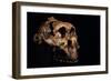 Paranthropus Boisei Skull-Javier Trueba-Framed Photographic Print