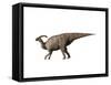 Parasaurolophus Dinosaur-null-Framed Stretched Canvas