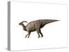 Parasaurolophus Dinosaur-null-Stretched Canvas
