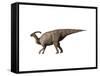 Parasaurolophus Dinosaur-null-Framed Stretched Canvas