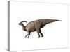 Parasaurolophus Dinosaur-null-Stretched Canvas