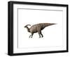 Parasaurolophus Dinosaur-null-Framed Art Print