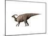 Parasaurolophus Dinosaur-null-Mounted Art Print