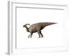 Parasaurolophus Dinosaur-null-Framed Art Print