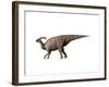Parasaurolophus Dinosaur-null-Framed Art Print