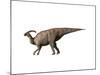 Parasaurolophus Dinosaur-null-Mounted Art Print
