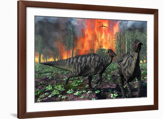 Parasaurolophus Duckbill Dinosaurs Fleeing a Deadly Forest Fire-null-Framed Art Print