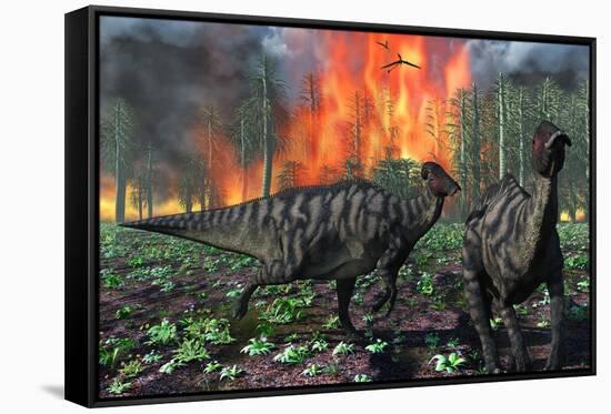 Parasaurolophus Duckbill Dinosaurs Fleeing a Deadly Forest Fire-null-Framed Stretched Canvas