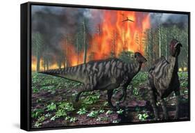 Parasaurolophus Duckbill Dinosaurs Fleeing a Deadly Forest Fire-null-Framed Stretched Canvas