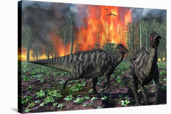 Parasaurolophus Duckbill Dinosaurs Fleeing a Deadly Forest Fire-null-Stretched Canvas