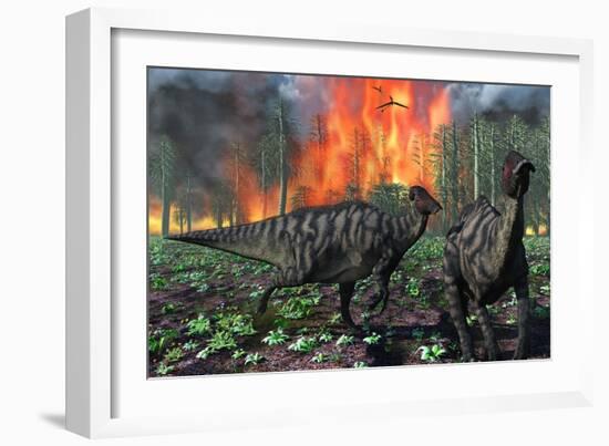 Parasaurolophus Duckbill Dinosaurs Fleeing a Deadly Forest Fire-null-Framed Premium Giclee Print