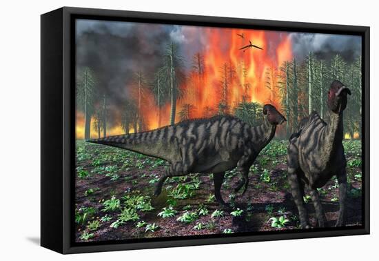 Parasaurolophus Duckbill Dinosaurs Fleeing a Deadly Forest Fire-null-Framed Stretched Canvas