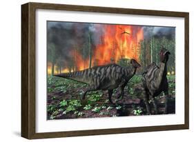 Parasaurolophus Duckbill Dinosaurs Fleeing a Deadly Forest Fire-null-Framed Art Print