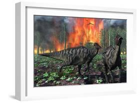 Parasaurolophus Duckbill Dinosaurs Fleeing a Deadly Forest Fire-null-Framed Art Print