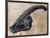 Parasaurolophus Walkerii Dinosaur Skull-Stocktrek Images-Framed Art Print