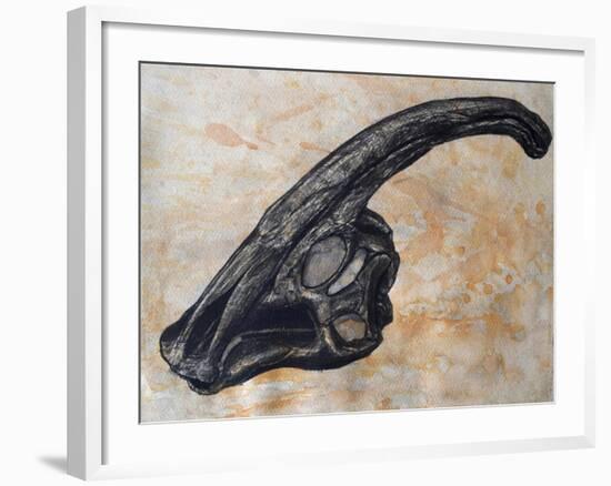 Parasaurolophus Walkerii Dinosaur Skull-Stocktrek Images-Framed Art Print