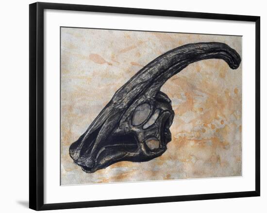 Parasaurolophus Walkerii Dinosaur Skull-Stocktrek Images-Framed Art Print