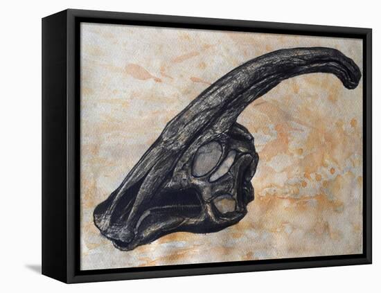 Parasaurolophus Walkerii Dinosaur Skull-Stocktrek Images-Framed Stretched Canvas