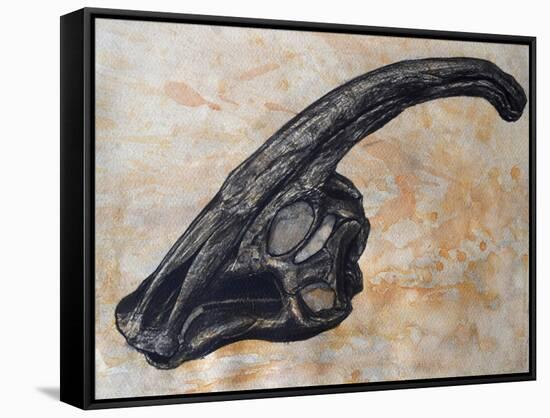 Parasaurolophus Walkerii Dinosaur Skull-Stocktrek Images-Framed Stretched Canvas