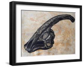 Parasaurolophus Walkerii Dinosaur Skull-Stocktrek Images-Framed Art Print