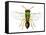 Parasitic Wasp-Dr. Keith Wheeler-Framed Stretched Canvas