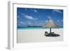 Parasol on a white sand beach and turquoise water, Sun Island Resort, Nalaguraidhoo island, Ari ato-Michael Runkel-Framed Photographic Print