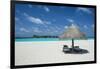 Parasol on a white sand beach and turquoise water, Sun Island Resort, Nalaguraidhoo island, Ari ato-Michael Runkel-Framed Photographic Print