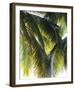 Parasol-Gaetan Caron-Framed Giclee Print