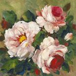 Summer Rose I-Parastoo Ganjei-Giclee Print