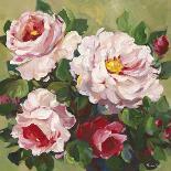 Rose Garden II-Parastoo Ganjei-Art Print