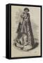 Paratene Maioha, a Chief of Wangaroa, Wearing the Parawai or Dog'S-Skin Robe-George French Angas-Framed Stretched Canvas