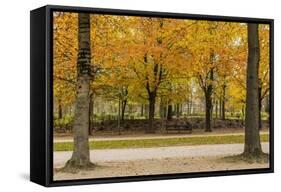 Parc De Bruxelles (Brussels Park) in Autumn (Fall)-Massimo Borchi-Framed Stretched Canvas