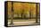 Parc De Bruxelles (Brussels Park) in Autumn (Fall)-Massimo Borchi-Framed Stretched Canvas