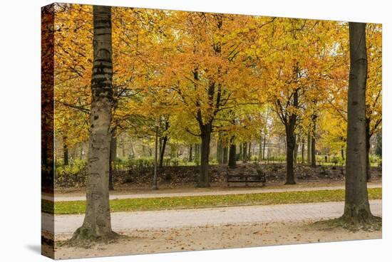 Parc De Bruxelles (Brussels Park) in Autumn (Fall)-Massimo Borchi-Stretched Canvas