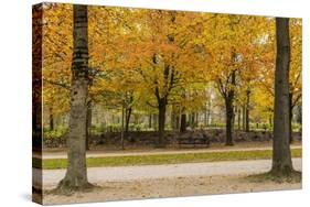 Parc De Bruxelles (Brussels Park) in Autumn (Fall)-Massimo Borchi-Stretched Canvas